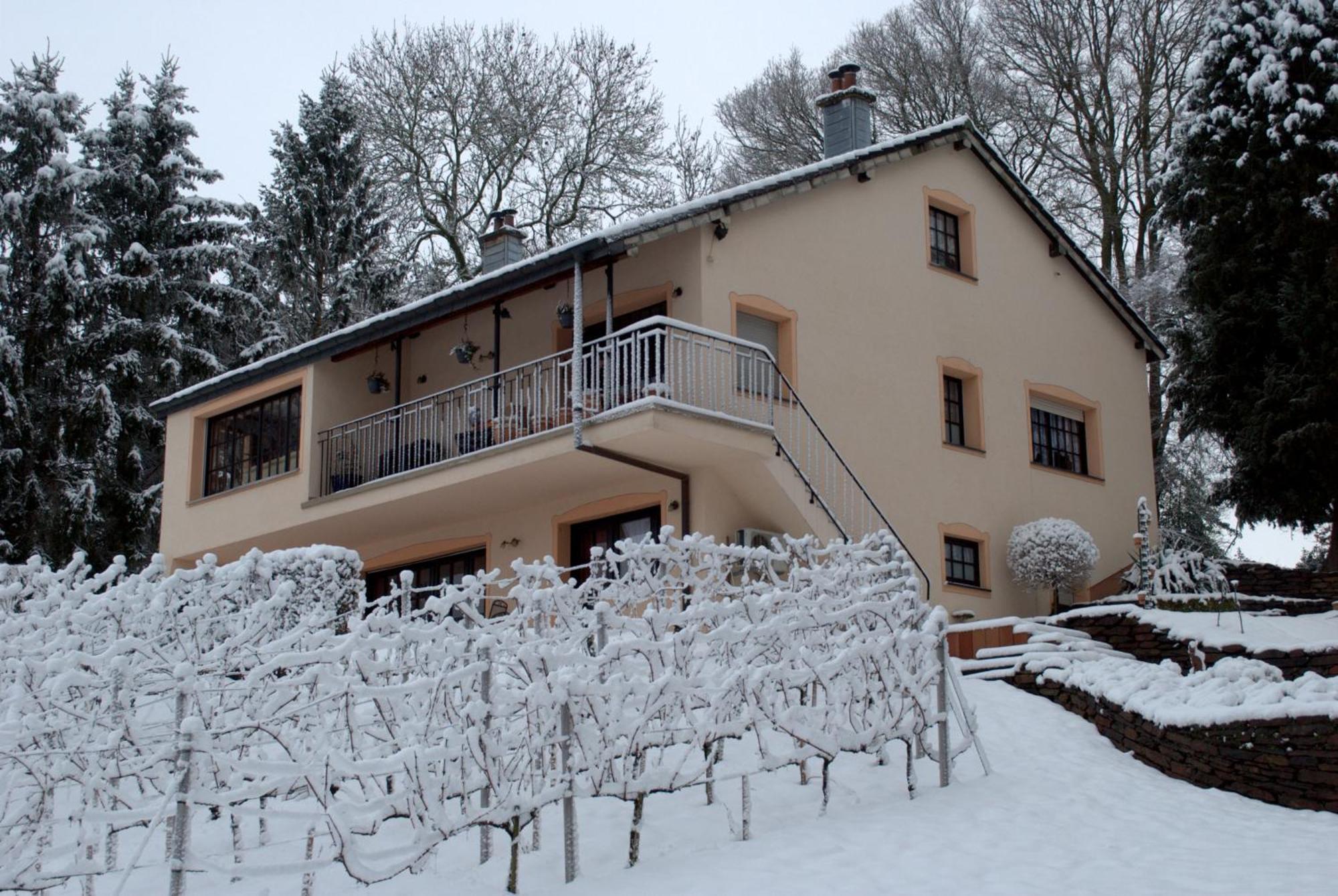 LontzenCasavitis Erholung Am Weinberg公寓 外观 照片